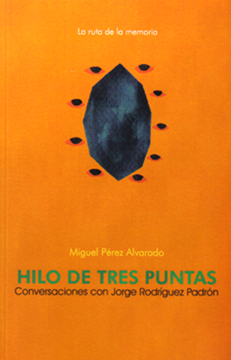 Teoria de la Luz cover